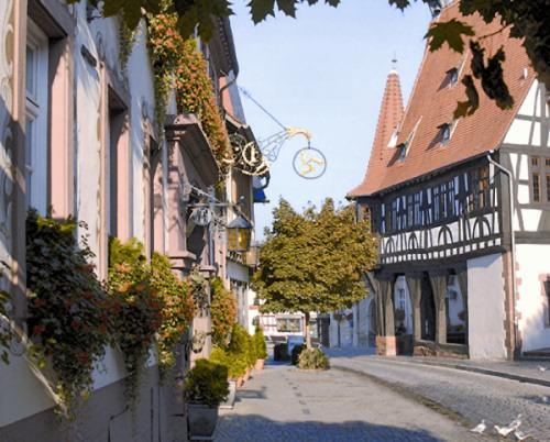 Hotel-Restaurant Drei Hasen Michelstadt Kültér fotó